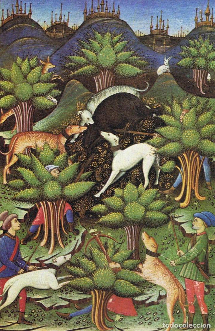 Libros: AA.VV - ENCICLOPEDIA DEL PERRO. 2 Tomos - Foto 2