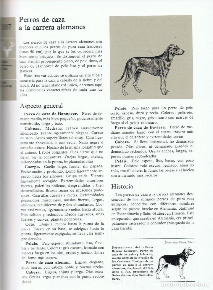 Libros: AA.VV - ENCICLOPEDIA DEL PERRO. 2 Tomos - Foto 5