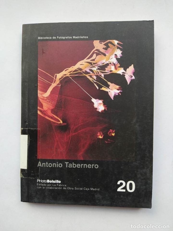 Libros: Antonio TABERNERO. Ventanas abiertas. - Nelly Schnaith. TDK646 - Foto 1