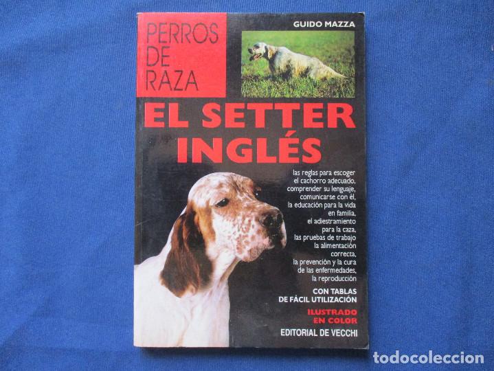 Libros: EL SETTER INGL&Eacute;S / PERROS DE RAZA / 2000 GUIDO MAZZA - Foto 1