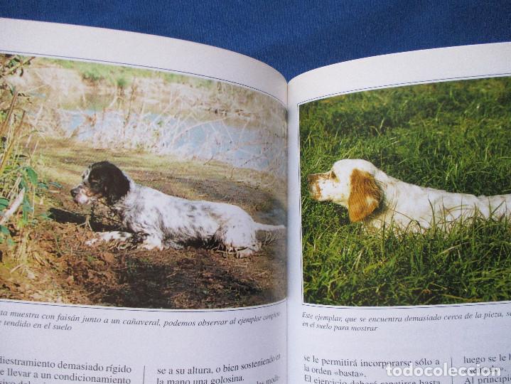 Libros: EL SETTER INGL&Eacute;S / PERROS DE RAZA / 2000 GUIDO MAZZA - Foto 2