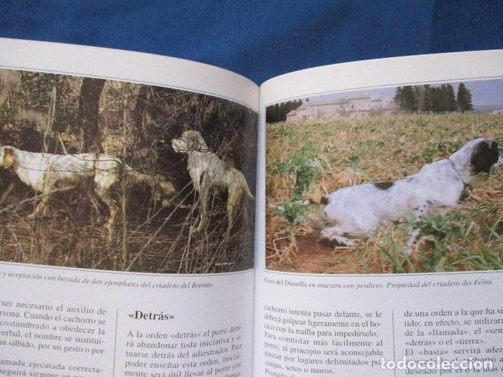 Libros: EL SETTER INGL&Eacute;S / PERROS DE RAZA / 2000 GUIDO MAZZA - Foto 3