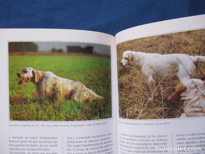 Libros: EL SETTER INGL&Eacute;S / PERROS DE RAZA / 2000 GUIDO MAZZA - Foto 4