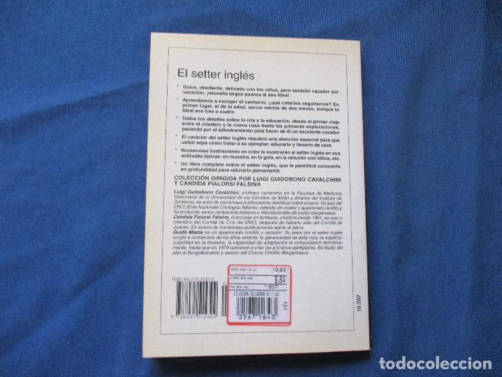 Libros: EL SETTER INGL&Eacute;S / PERROS DE RAZA / 2000 GUIDO MAZZA - Foto 6