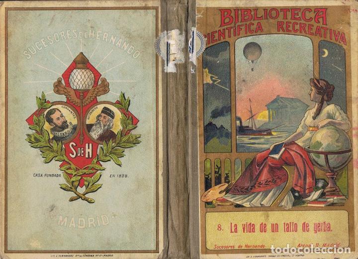 Libros: Mac&Atilde;&copy;. Julio - LA VIDA DE UN TALLO DE YERBA - Foto 1