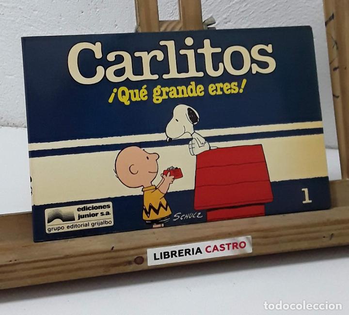 Libros: Carlitos &iexcl;Qu&eacute; grande eres! N&ordm; 1 - Schulz - Foto 1