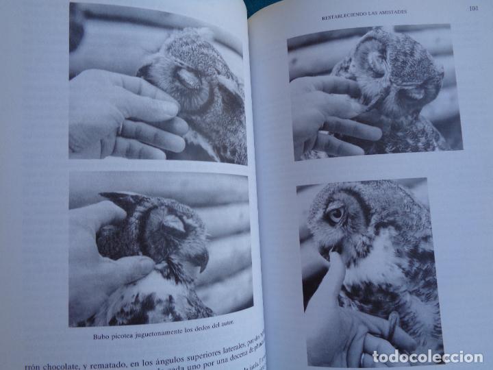 Libros: MI BUHO, BERND HEINRICH. 1989 - Foto 3