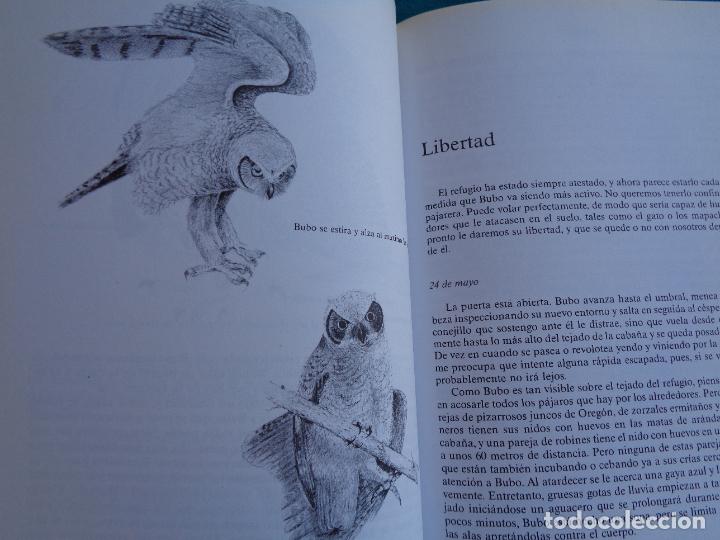 Libros: MI BUHO, BERND HEINRICH. 1989 - Foto 4