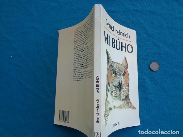 Libros: MI BUHO, BERND HEINRICH. 1989 - Foto 5