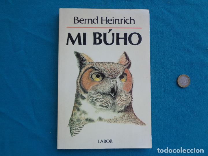 Libros: MI BUHO, BERND HEINRICH. 1989 - Foto 1