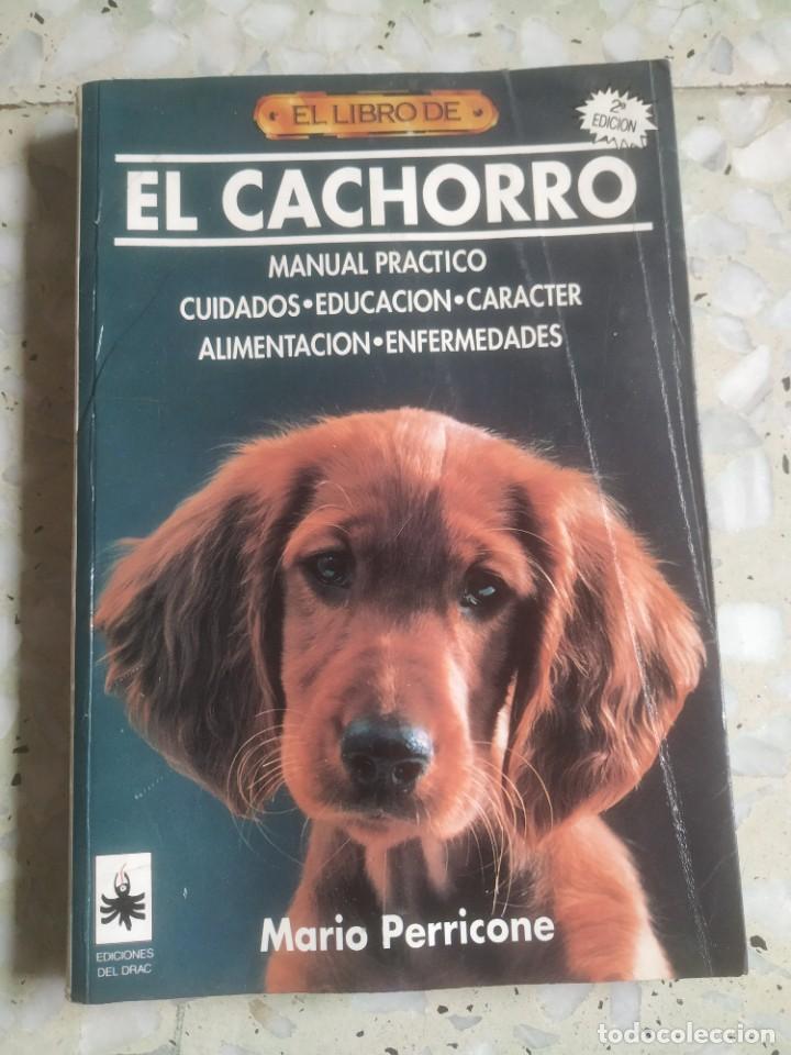 Libros: El libro de El Cachorro. Mario Perricone. 2a ed. Ediciones del Drac. 1993 - Foto 1