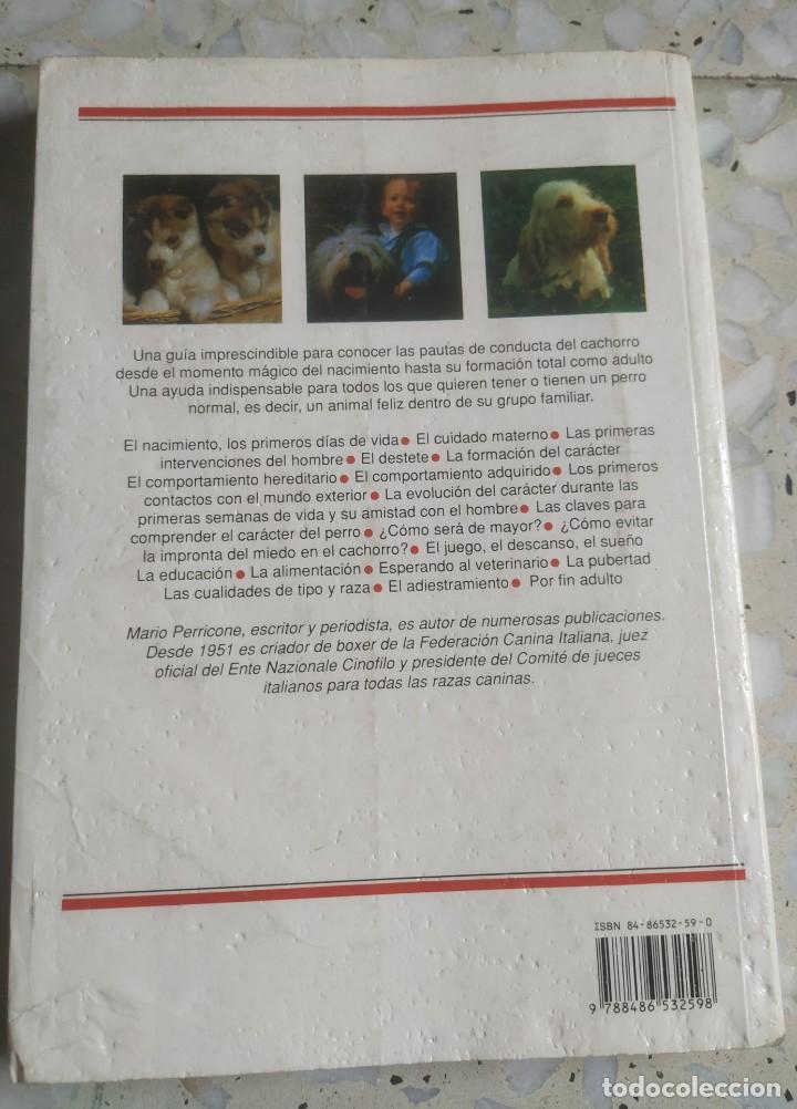 Libros: El libro de El Cachorro. Mario Perricone. 2a ed. Ediciones del Drac. 1993 - Foto 2