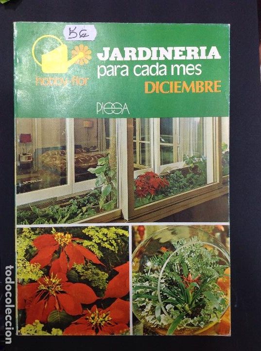 B&uuml;cher: Jardiner&iacute;a para cada mes diciembre. Hobby flor piesa