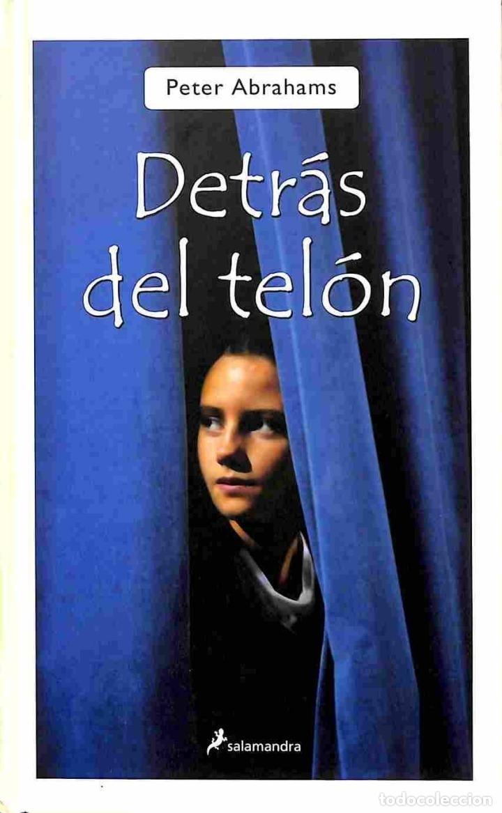 Libros: DETR&Aacute;S DEL TEL&Oacute;N. LOS MISTERIOS DE ECHO FALLS II. - PETER ABRAHAMS - Foto 1