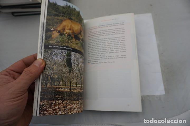 Libros: VIGO E COMARCA CAMI&Ntilde;ANDO / ROUTEIROS XERAIS - Foto 3
