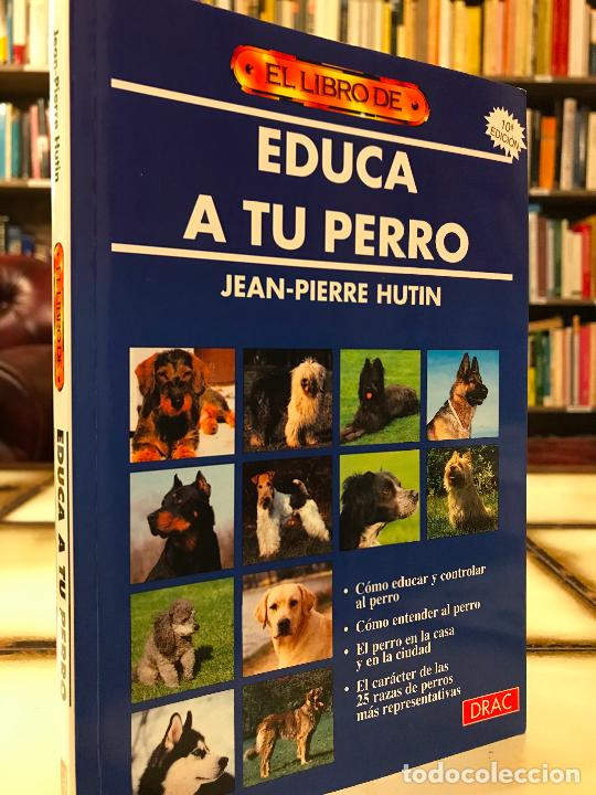 Libros: Educa a tu perro. Jean-Pierre Hutin. PEDIDO M&Iacute;NIMO 5&euro; - Foto 1