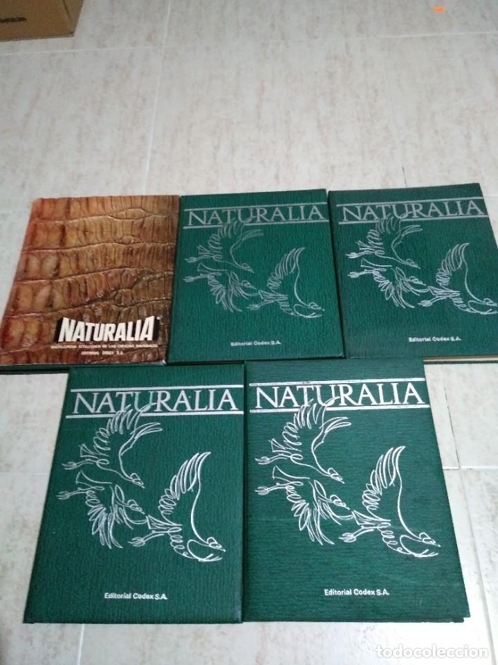 Libros: Naturalia - editorial codex - 5 tomos - Foto 1