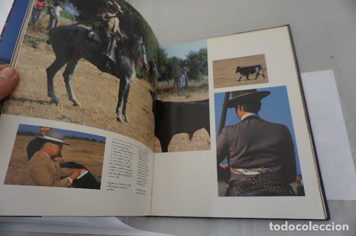 Libros: 21E/ CADIZ - FOTOGRAFIAS - DANIEL AUBRY - Foto 7