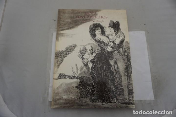 Libros: GOYA - LOS CAPRICHOS - DIBUJOS Y AGUAFUERTES - MADRID 1994 - Foto 1