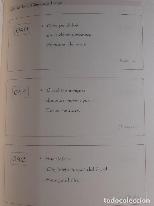 Libros: HOMENAJE A BASHO - TAO - JOSE LUIS GIMENEZ LAGO - Foto 5