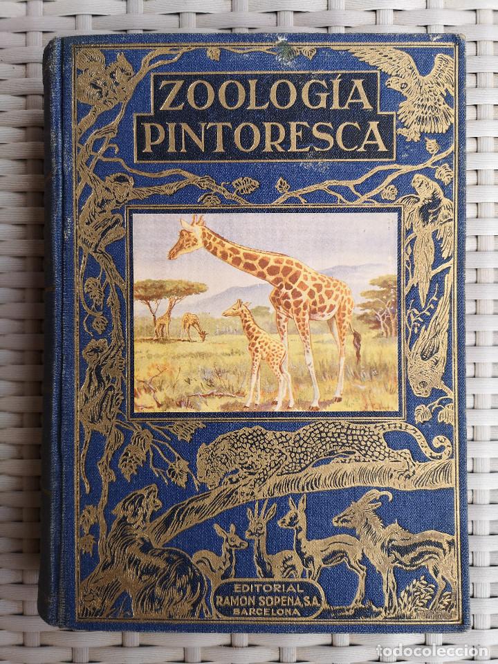 Libros: LIBRO - EDITORIAL RAMON SOPENA - 1950 -ZOOLOG&Iacute;A PINTORESCA - Foto 1