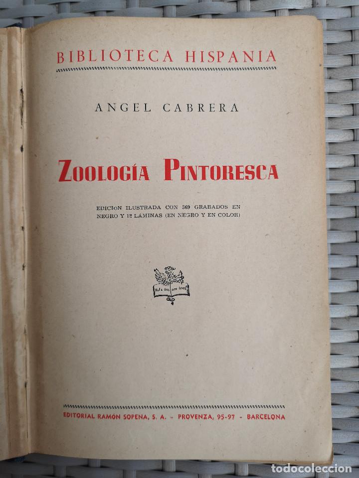 Libros: LIBRO - EDITORIAL RAMON SOPENA - 1950 -ZOOLOG&Iacute;A PINTORESCA - Foto 2