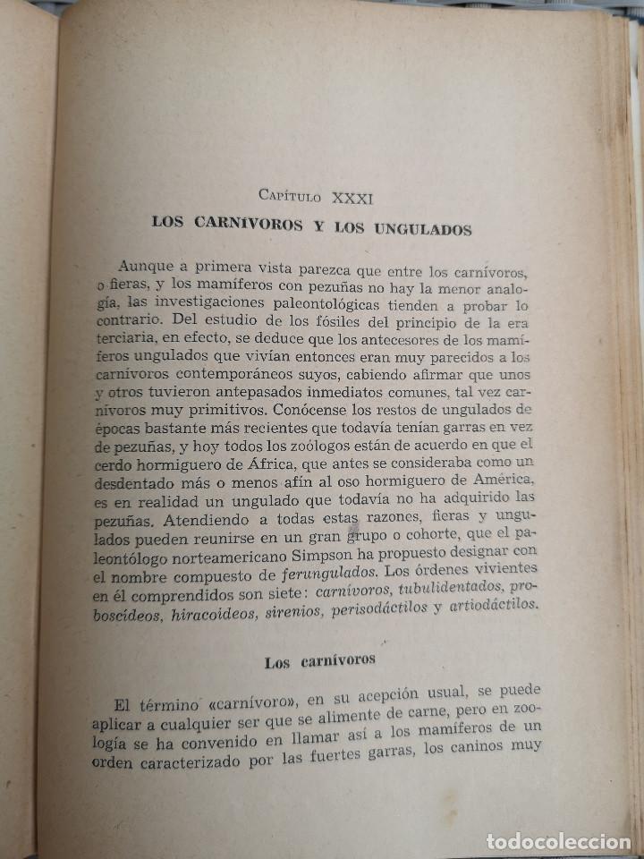 Libros: LIBRO - EDITORIAL RAMON SOPENA - 1950 -ZOOLOG&Iacute;A PINTORESCA - Foto 8