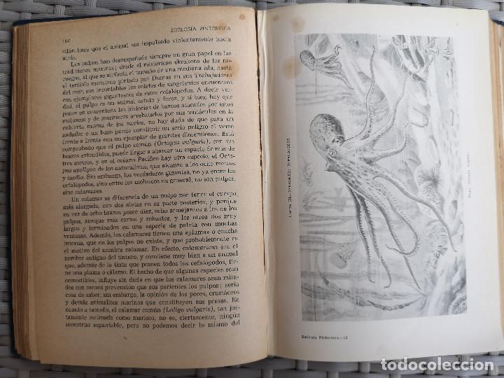 Libros: LIBRO - EDITORIAL RAMON SOPENA - 1950 -ZOOLOG&Iacute;A PINTORESCA - Foto 11