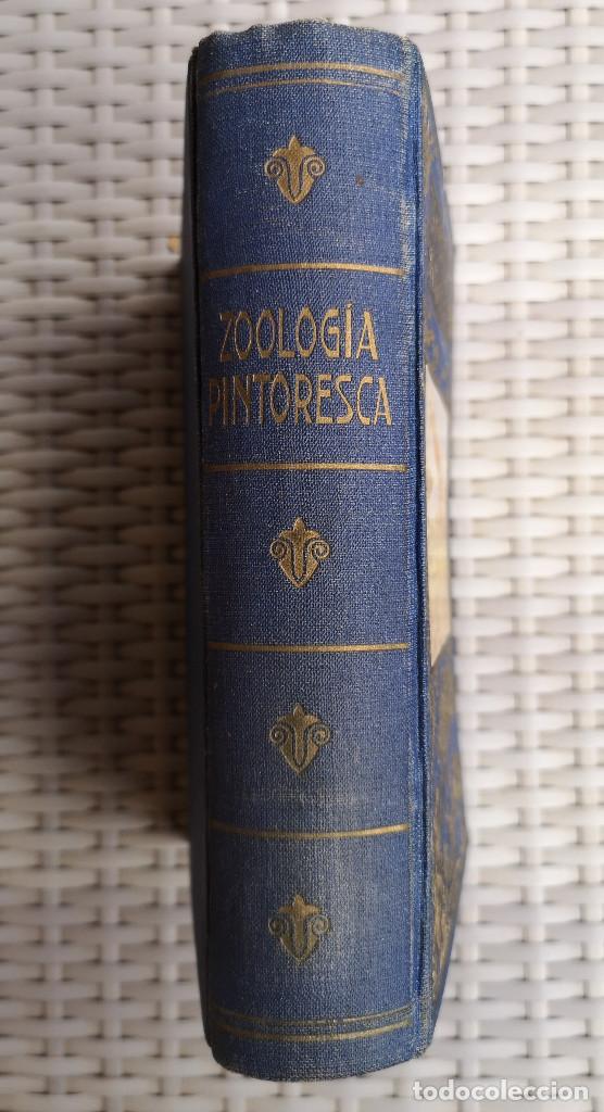 Libros: LIBRO - EDITORIAL RAMON SOPENA - 1950 -ZOOLOG&Iacute;A PINTORESCA - Foto 12