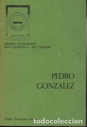 Libros: PEDRO GONZALEZ. - CASTRO, Fern&aacute;ndez. - Foto 1