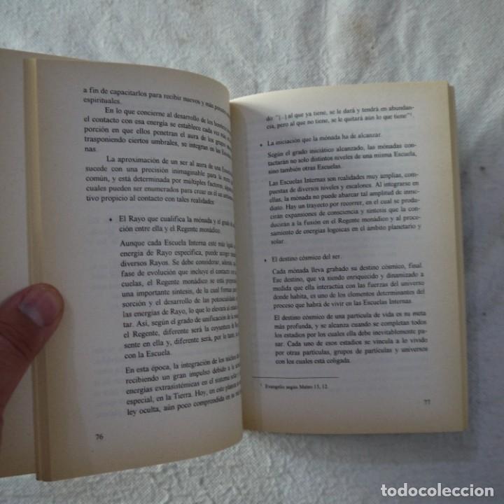 Libros: NUEVOS OR&Aacute;CULOS - TRIGUEIRINHO - KIER - 1994 - Foto 6