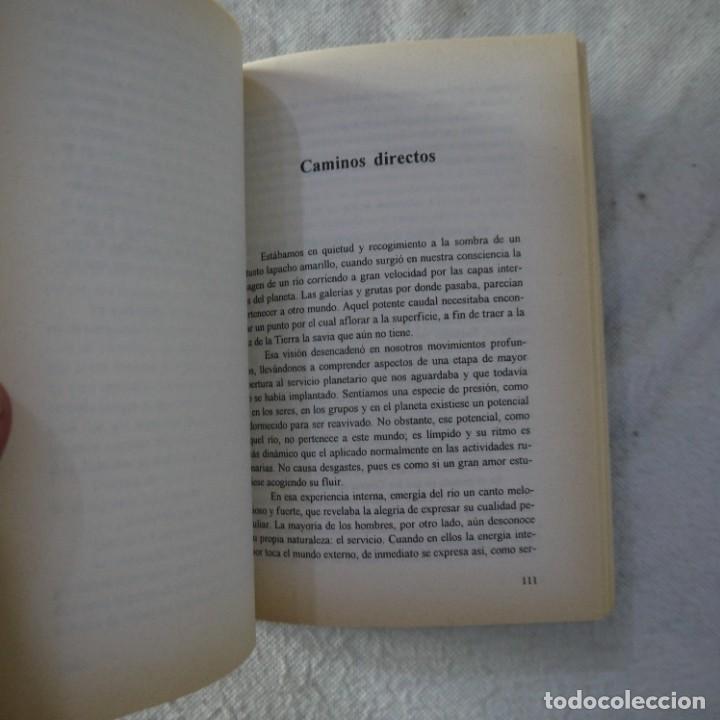 Libros: NUEVOS OR&Aacute;CULOS - TRIGUEIRINHO - KIER - 1994 - Foto 7