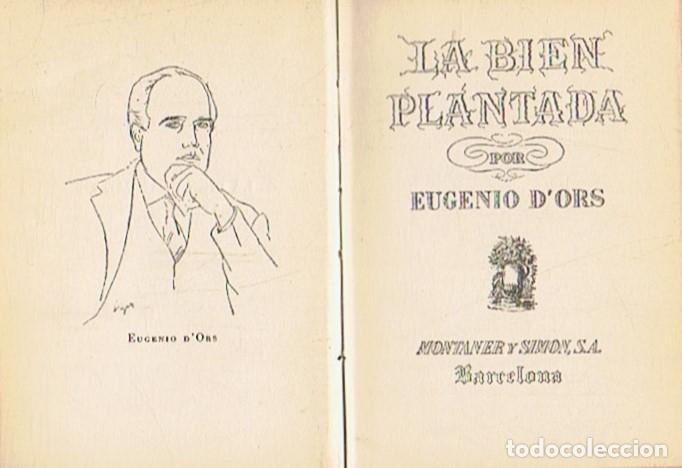 Libros: LA BIEN PLANTADA. - D&acirc;��Ors. Eugenio, - Foto 1