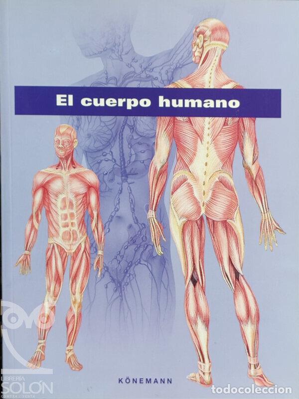 Libros: El cuerpo humano - Equipo Editorial Arco - Foto 1