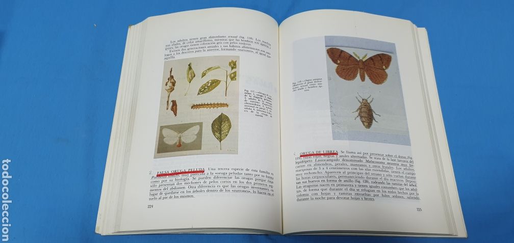 Libros: PLAGAS DEL CAMPO - S. PLANES / J.M. CARRERO - 11 EDICI&Oacute;N - Foto 4