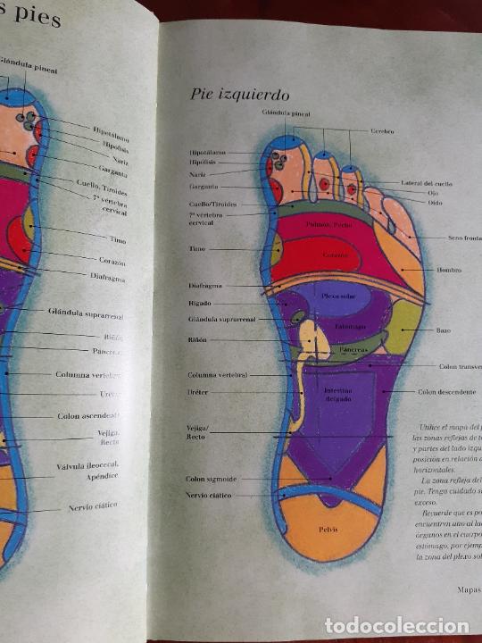 Libros: REFLEJOTERAPIA EN CASA - CASA SANA - ANN GILLANDERS - Foto 4