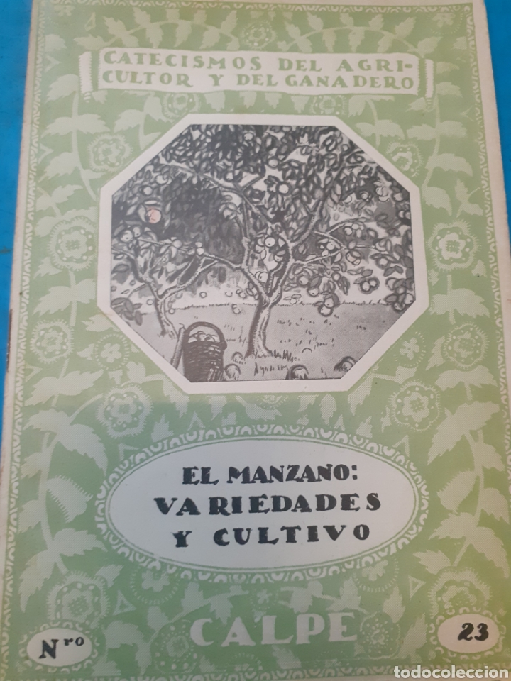 B&uuml;cher: EL MANZANO. VARIEDADES Y CULTIVO - GALLASTEGUI,Ignacio.