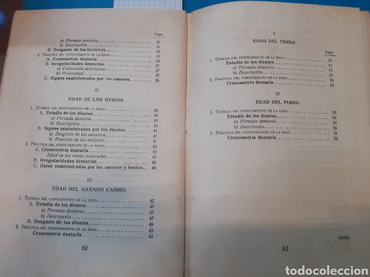 Libros: LA EDAD DE LOS ANIMALES - MOLINA SERRANO,Eusebio. - Foto 5