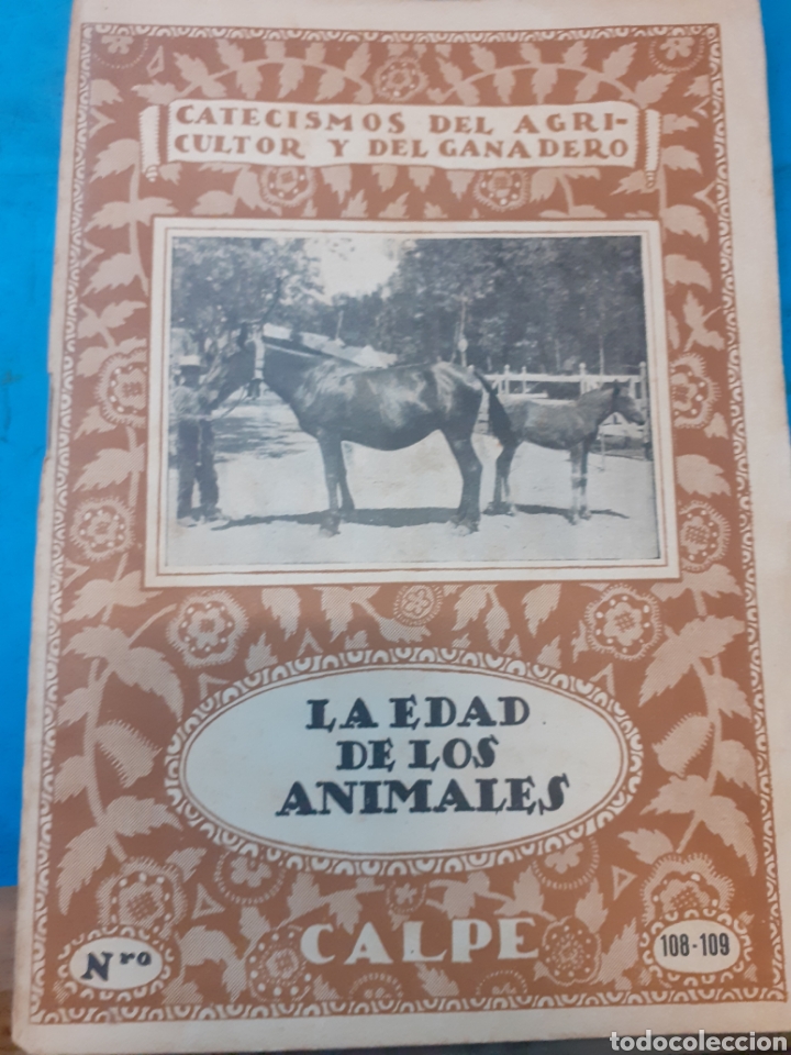 Libros: LA EDAD DE LOS ANIMALES - MOLINA SERRANO,Eusebio. - Foto 1