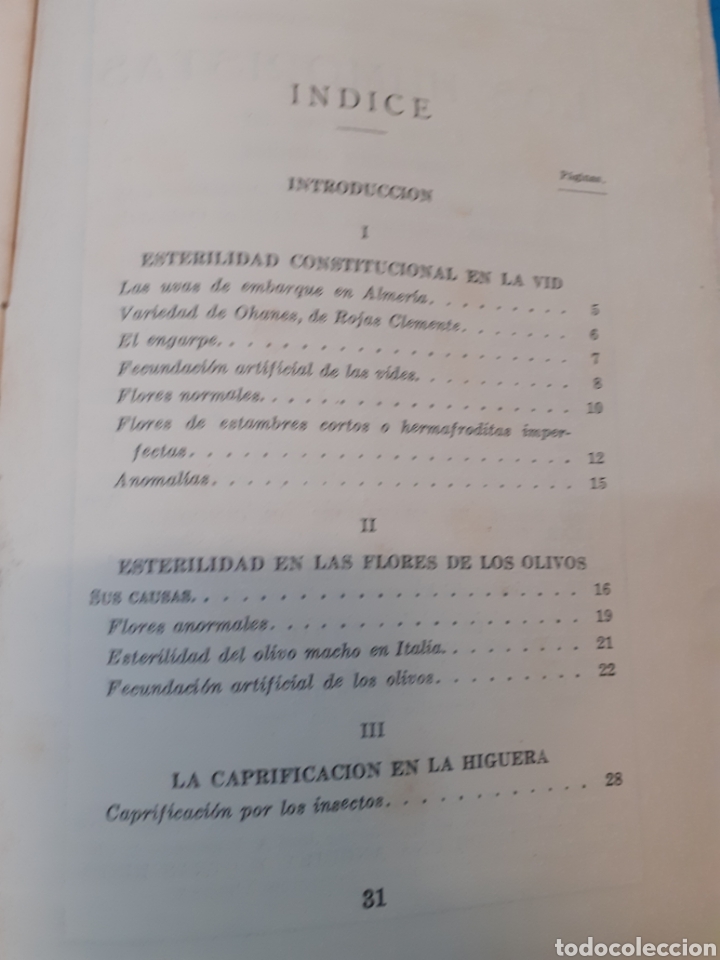 Libros: ESTERILIDAD DE LAS FLORES - NAVARRO,Leandro. - Foto 4