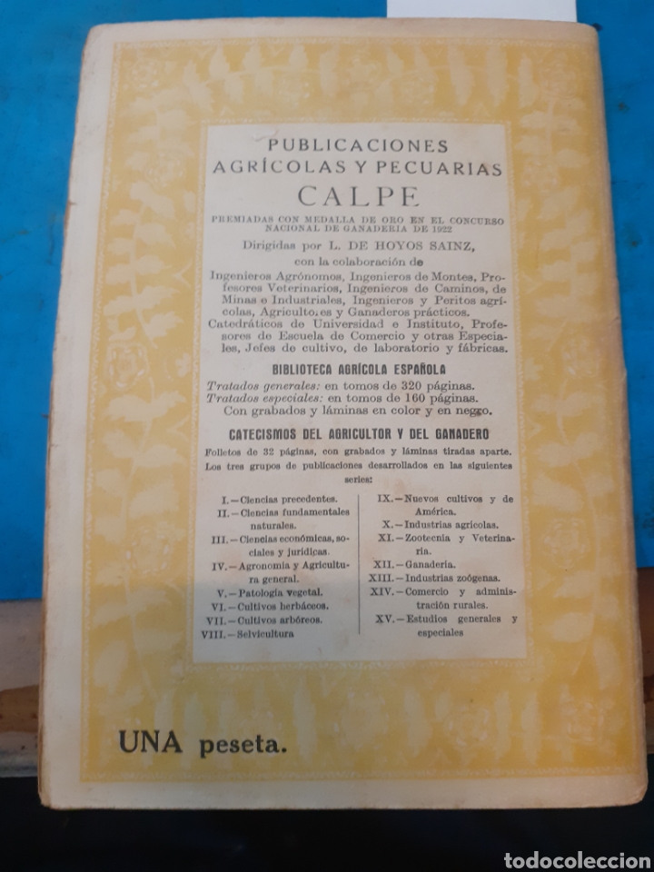 Libros: LAS PLAGAS DE LANGOSTA - NAVARRO,Leandro. - Foto 2