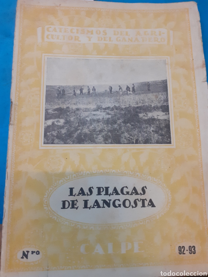 Libros: LAS PLAGAS DE LANGOSTA - NAVARRO,Leandro. - Foto 1