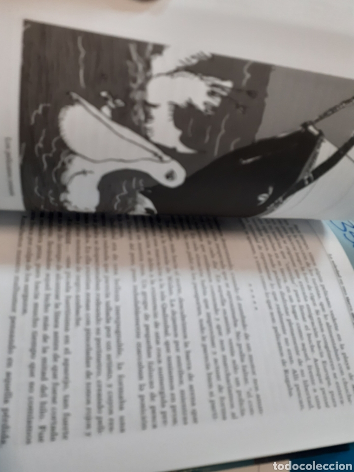 Libros: ESTELA BLANCA EN EL MAR ROJO - RIBES,Pepe. - Foto 6