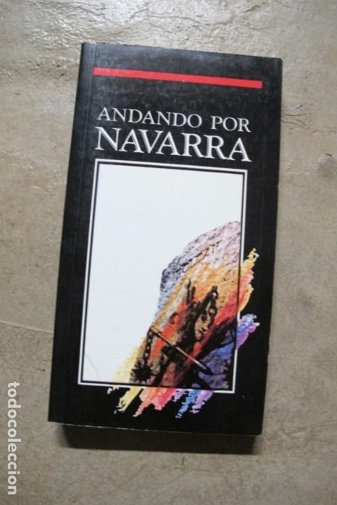Libros: ANDANDO POR NAVARRA. ESPA&Ntilde;OL FRANCES INGLES - Foto 1