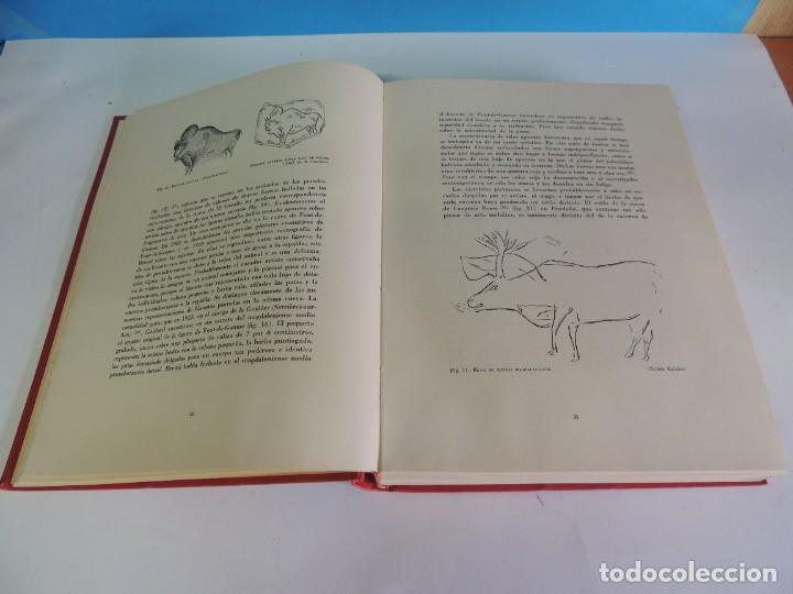 Libros: EL ARTE RUPESTRE EN EUROPA.- HERBERT K&Uuml;HN - Foto 6