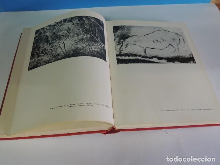 Libros: EL ARTE RUPESTRE EN EUROPA.- HERBERT K&Uuml;HN - Foto 12