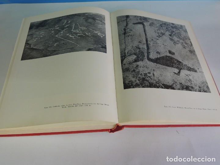 Libros: EL ARTE RUPESTRE EN EUROPA.- HERBERT K&Uuml;HN - Foto 21