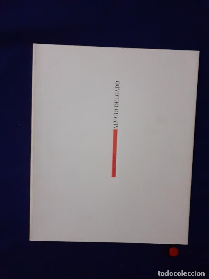 Libros: CATALOGO DE ARTE, ALVARO DELGADO,EXCELENTE ESTADO - Foto 1
