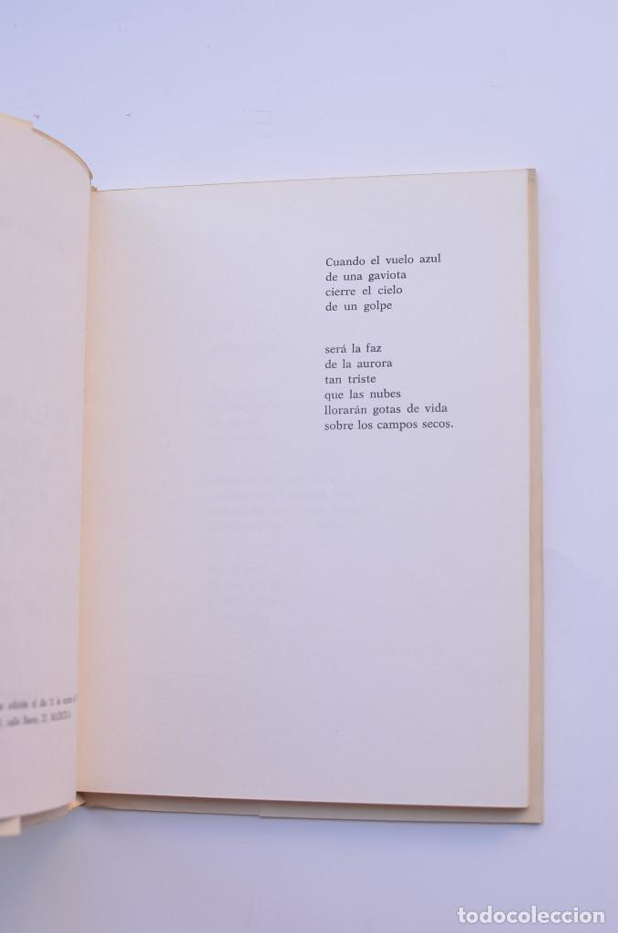 Libros: La arista de espuma - PACHECO, Alfonso - Foto 3