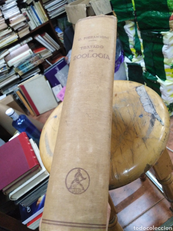 Libros: TRATADO DE ZOOLOGIA - PIERANTONI,Umberto. - Foto 2